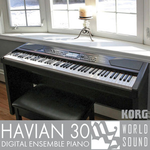 KORG - HAVIAN 30 [코르그 디지털 피아노]